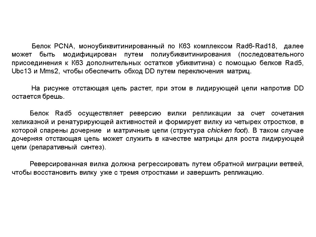 Белок PCNA, моноубиквитинированный по К63 комплексом Rad6-Rad18, далее может быть модифицирован путем полиубиквитинирования (последовательного